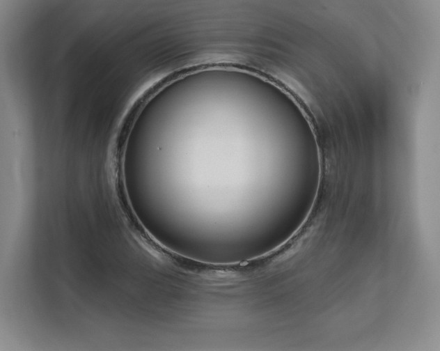 X0000111641119200907171541