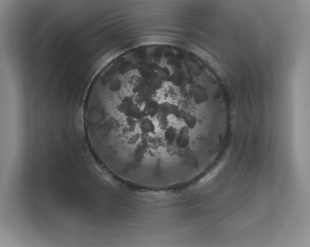 X0000111641121200907171541