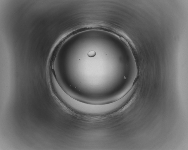 X0000111641122200907171541