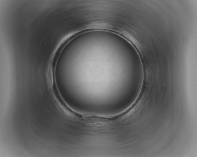 X0000111641123200907171541