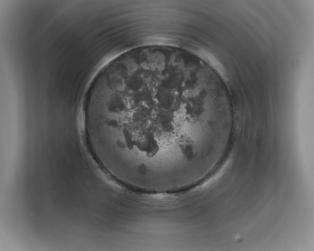 X0000111641125200907171541