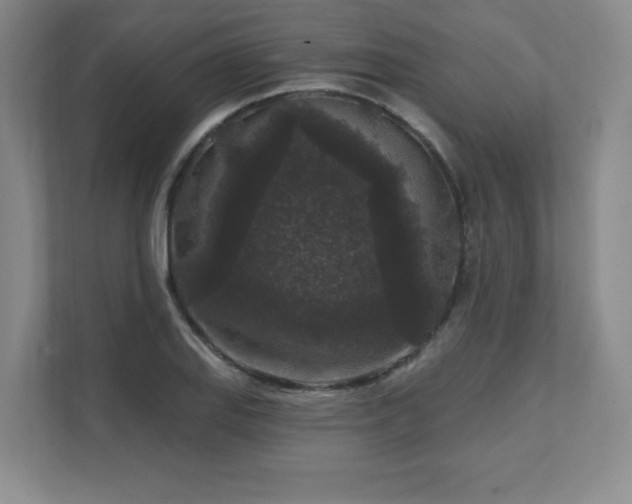 X0000111641127200907171541