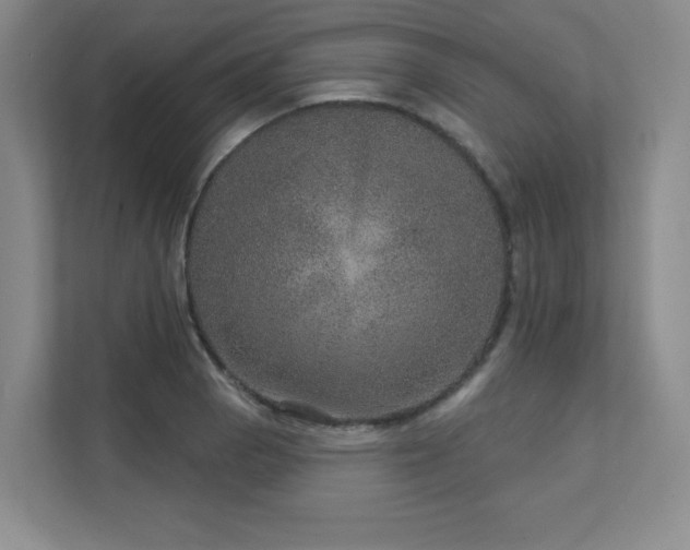 X0000111641129200907171541