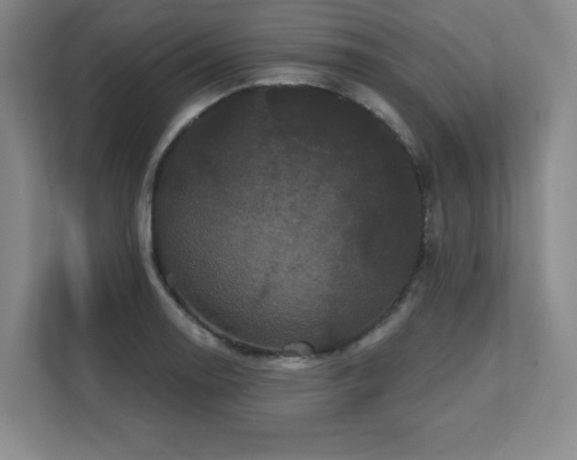 X0000111641130200907171541