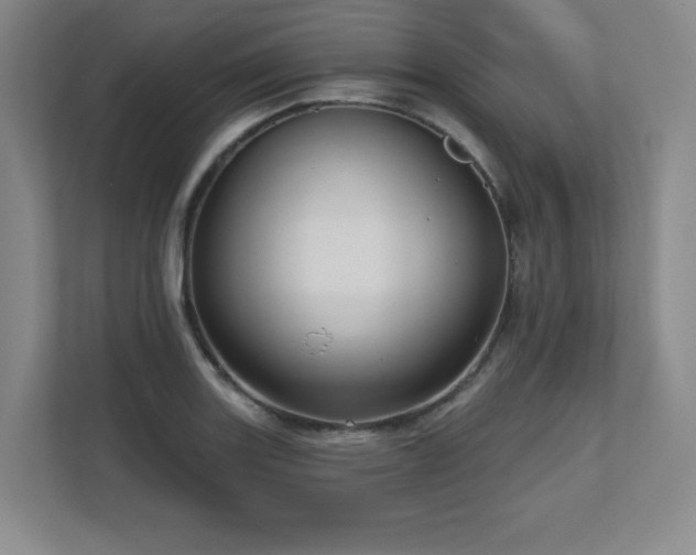 X0000111641131200907171541
