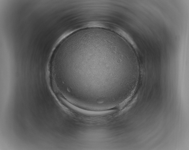 X0000111641133200907171541