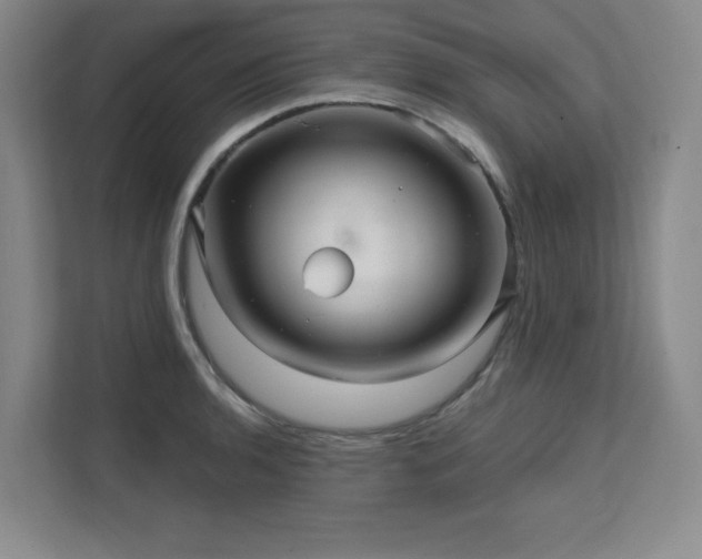 X0000111641136200907171541