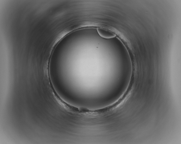 X0000111641137200907171541