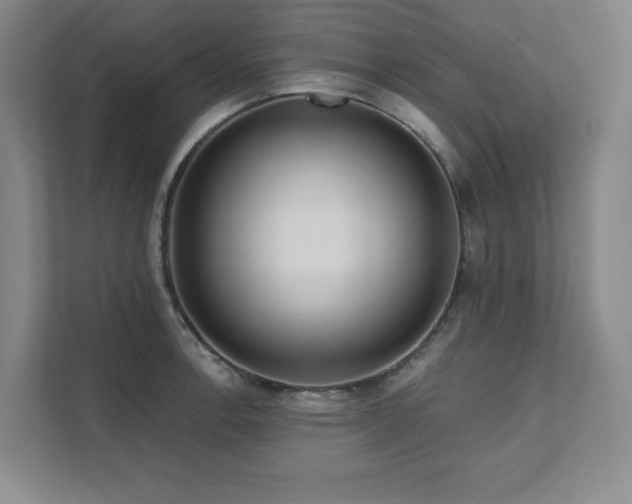 X0000111641138200907171541