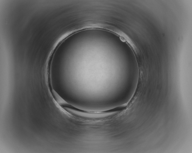 X0000111641143200907171541