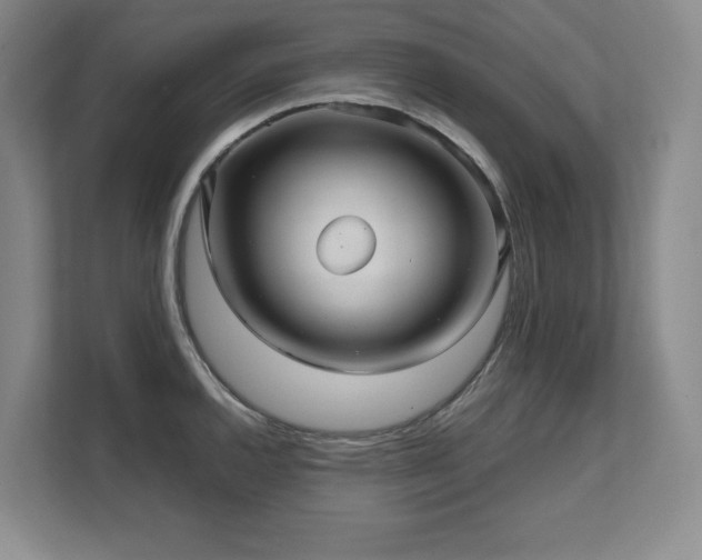 X0000111641144200907171542