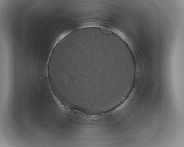 X0000111641145200907171542