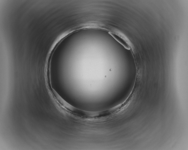 X0000111641146200907171542