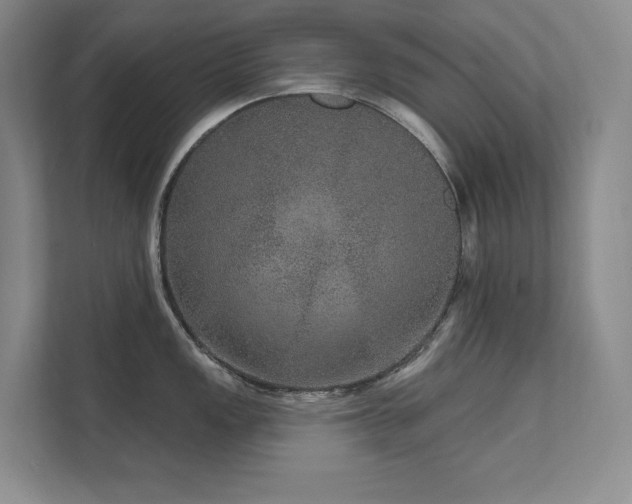 X0000111641149200907171542