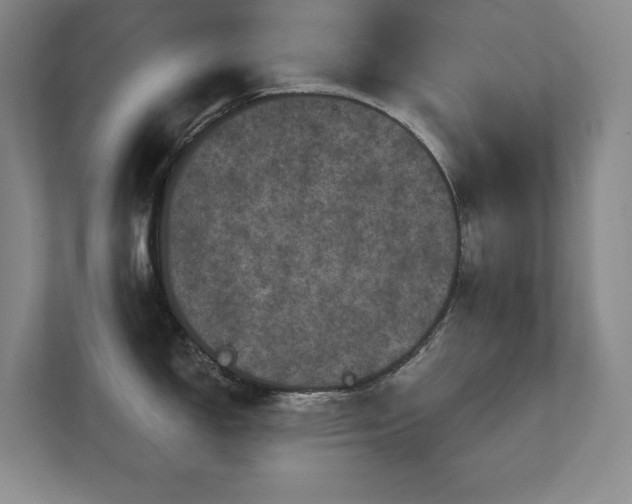 X0000111641150200907171542