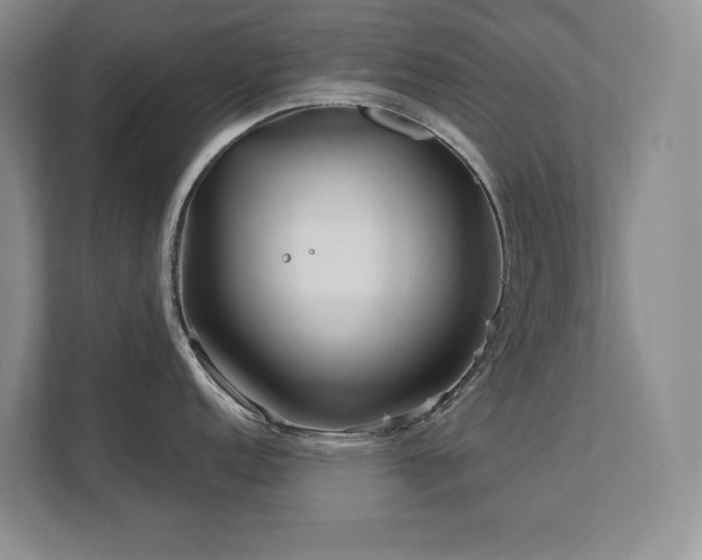 X0000111641152200907171542