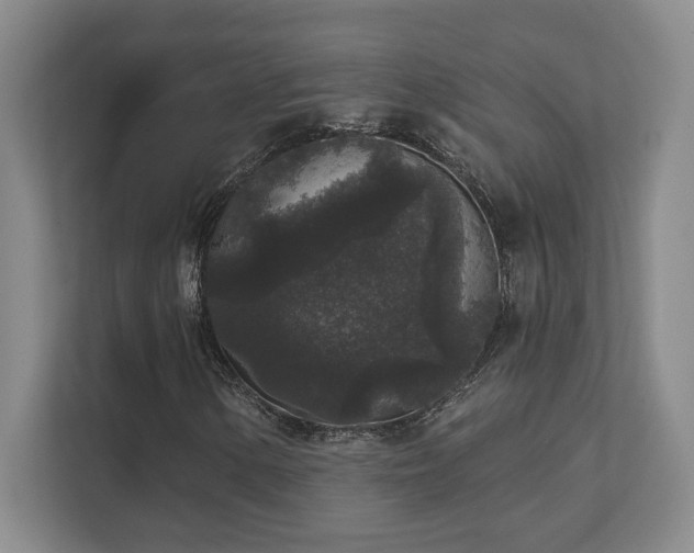X0000111641154200907171541