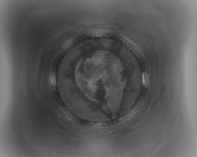 X0000111641155200907171541