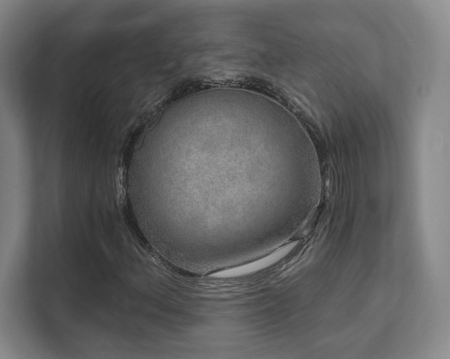 X0000111641156200907171541