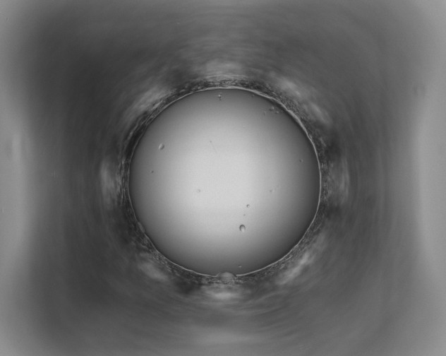 X0000111641157200907171541