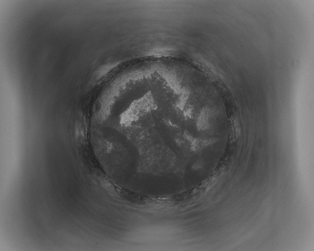 X0000111641158200907171541