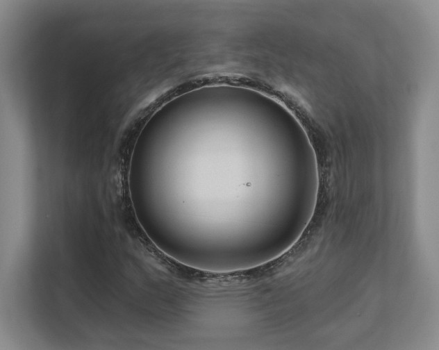 X0000111641159200907171541