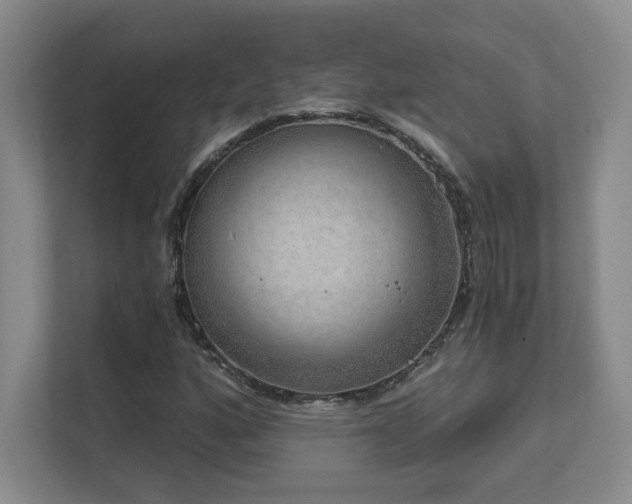 X0000111641160200907171541