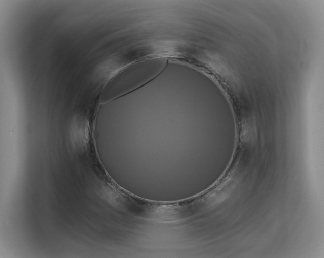 X0000111641161200907171541