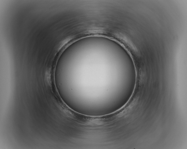 X0000111641162200907171541