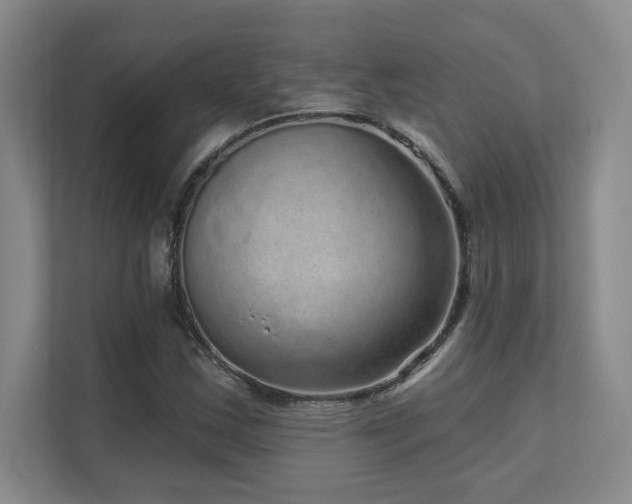X0000111641163200907171541