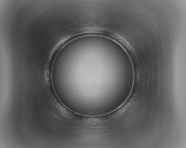 X0000111641164200907171541