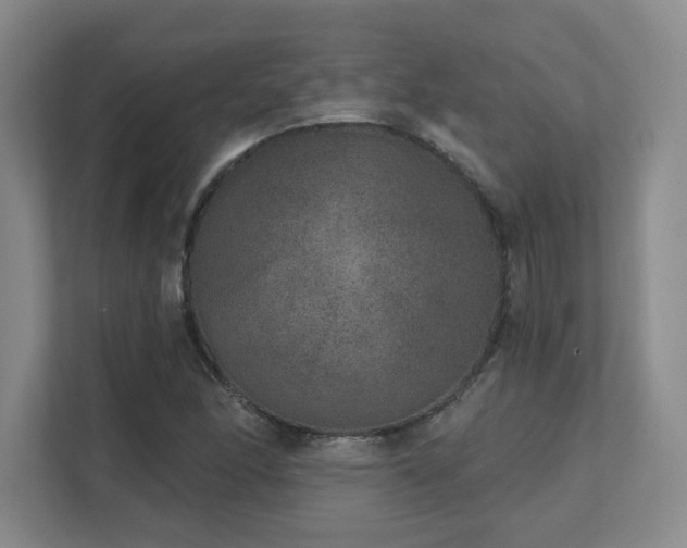 X0000111641166200907171541