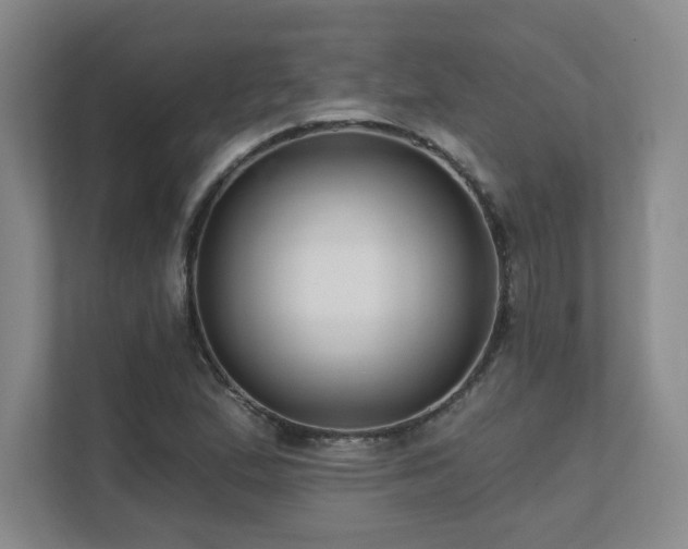 X0000111641167200907171541