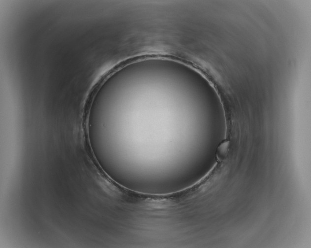 X0000111641168200907171541