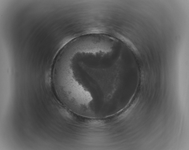 X0000111641170200907171541
