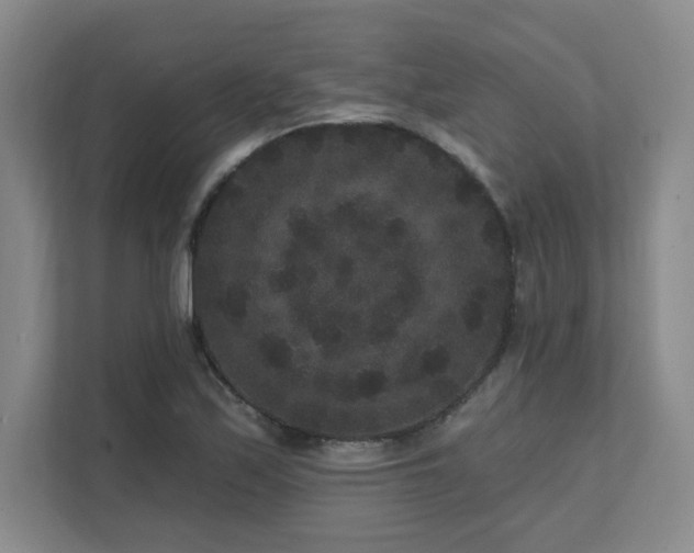 X0000111641171200907171541