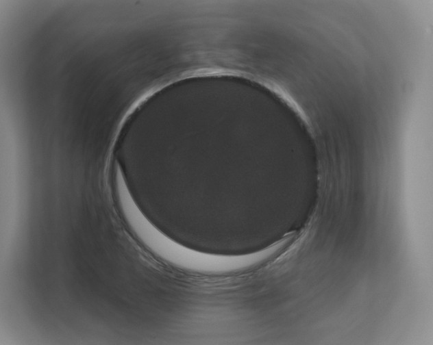X0000111641173200907171541