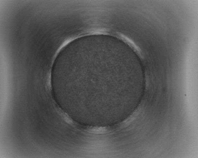 X0000111641174200907171541
