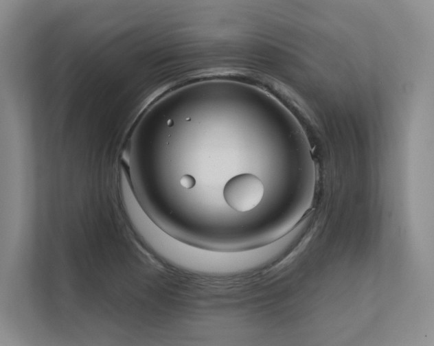 X0000111641177200907171541