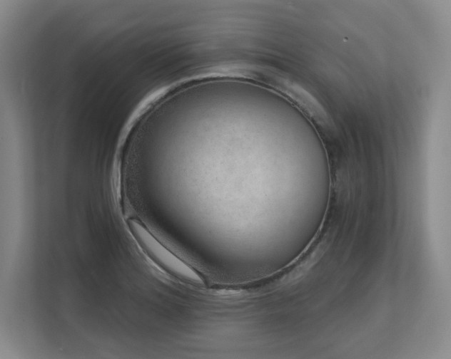X0000111641180200907171541