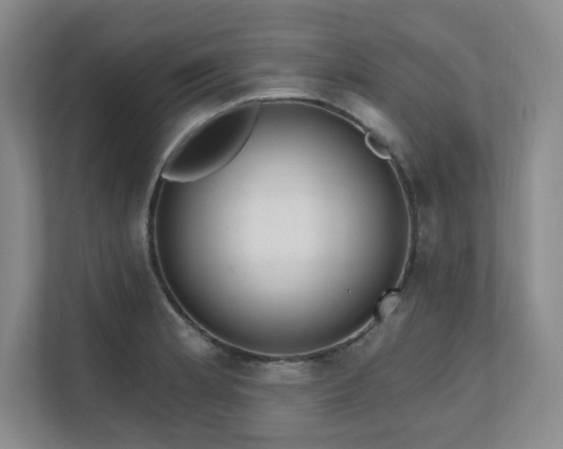 X0000111641181200907171541