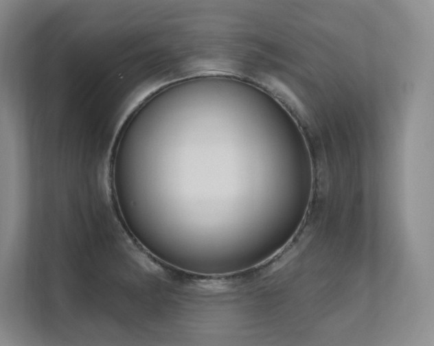 X0000111641182200907171541