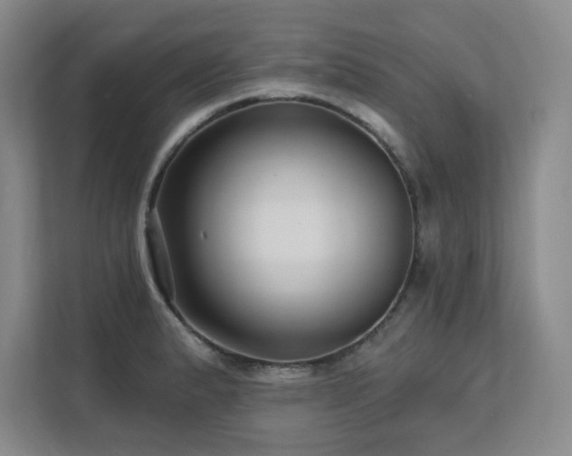 X0000111641183200907171541