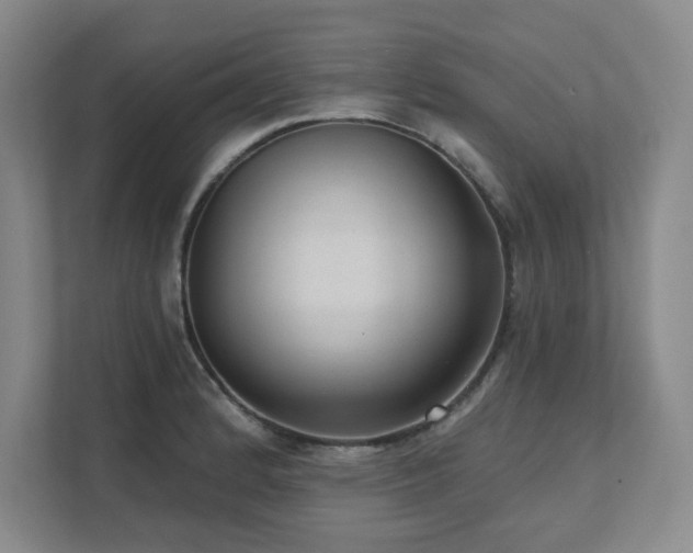 X0000111641184200907171541