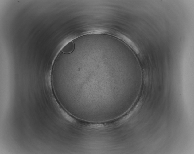 X0000111641186200907171541