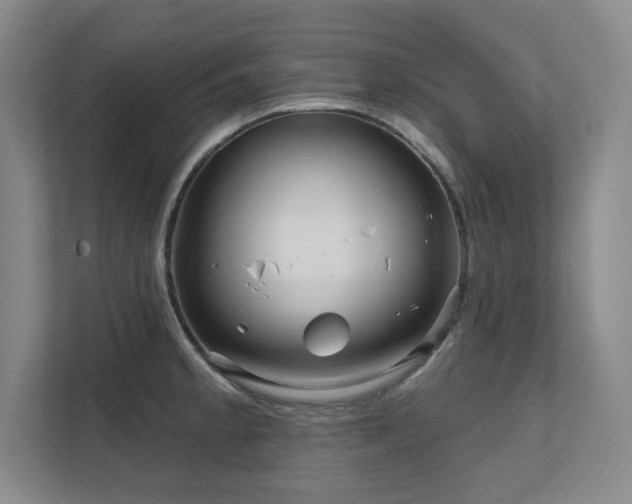 X0000111641189200907171541
