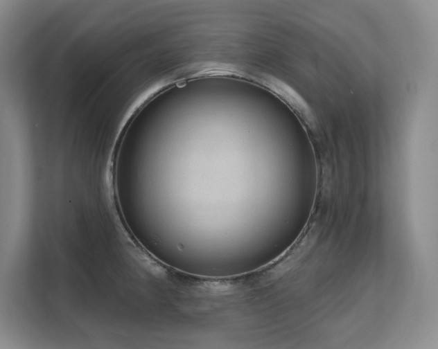 X0000111641190200907171541