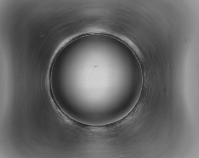 X0000111641191200907171540