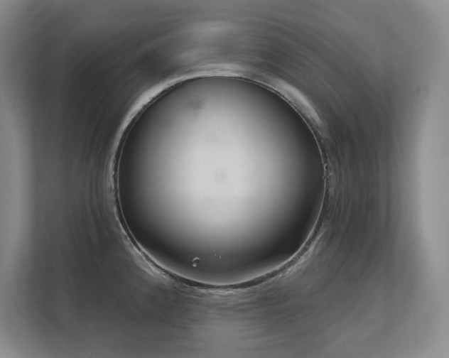 X0000111641192200907171540