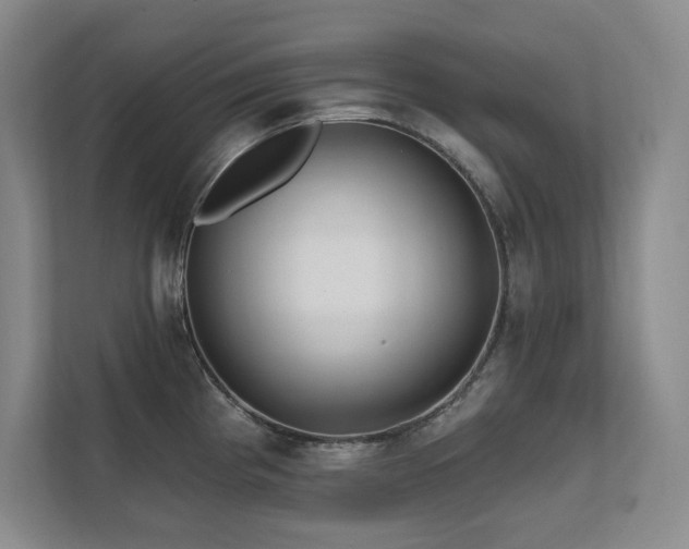 X0000111641193200907171540